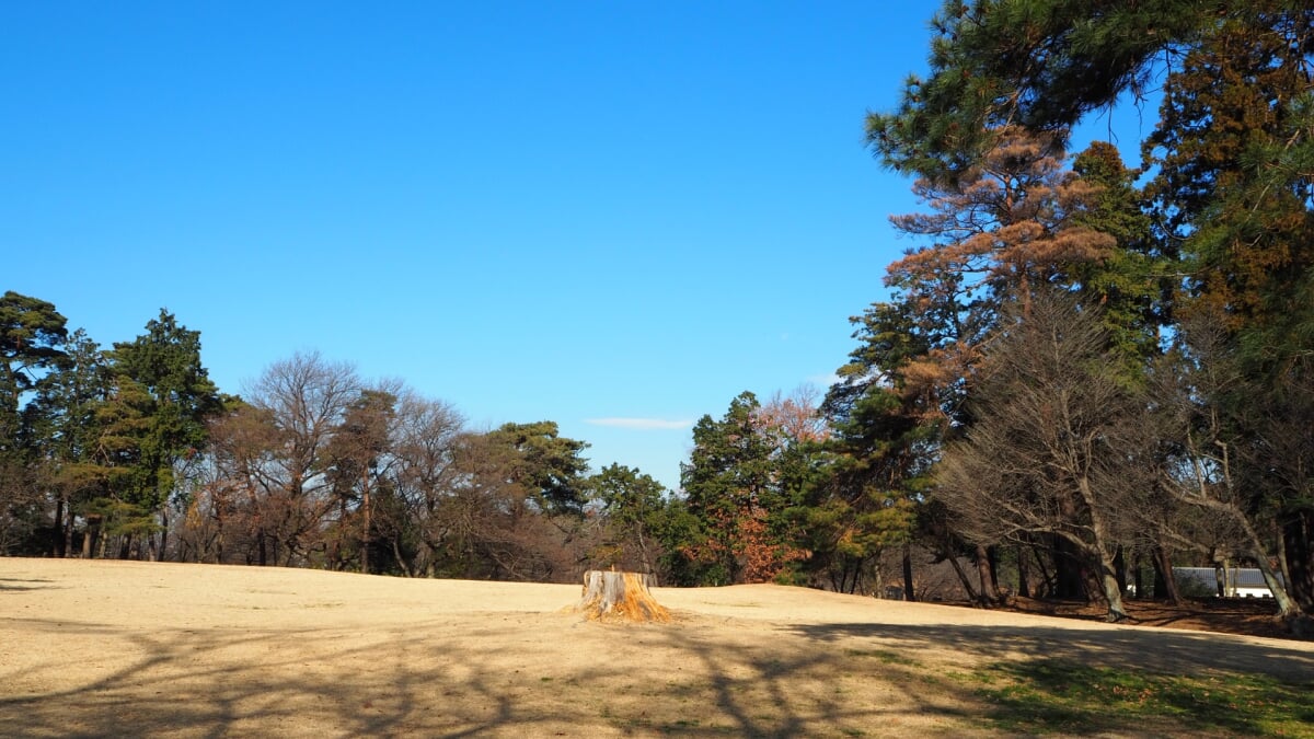 狭山稲荷山公園の写真6