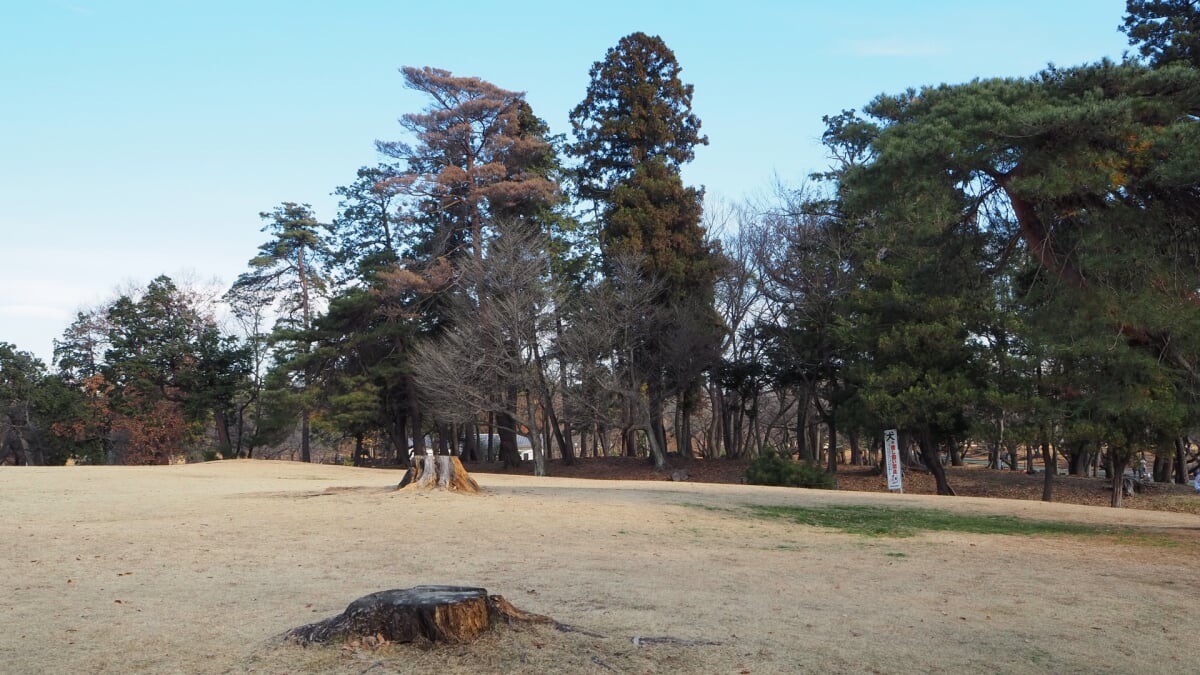 狭山稲荷山公園の写真8