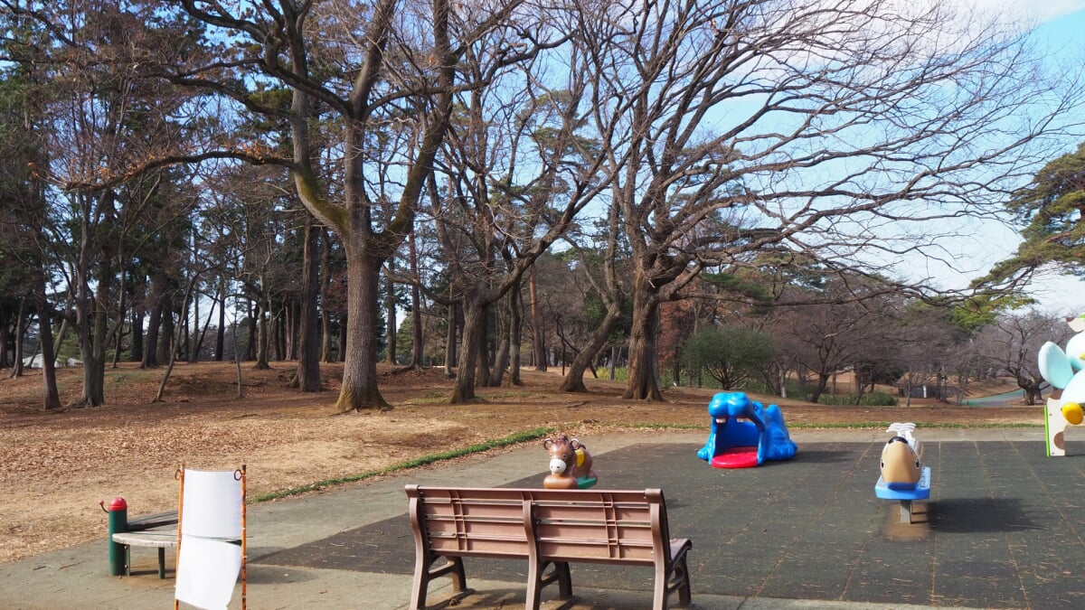 狭山稲荷山公園の写真9