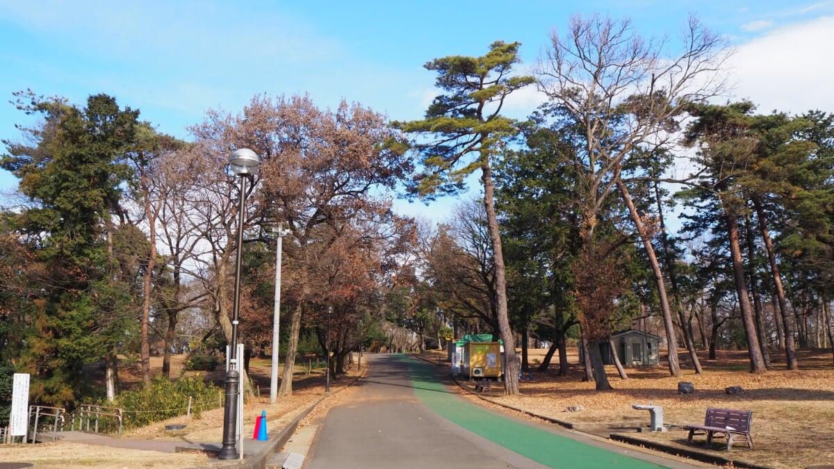 狭山稲荷山公園の写真10