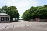 水沼の里2000年記念の森