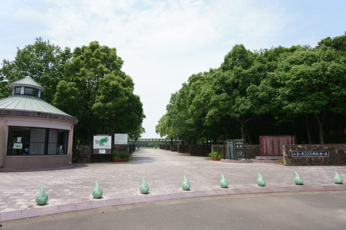 水沼の里2000年記念の森の写真1