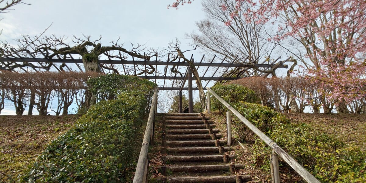 嬉野総合公園(みゆき公園)の写真5