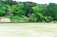 嬉野総合公園(みゆき公園)