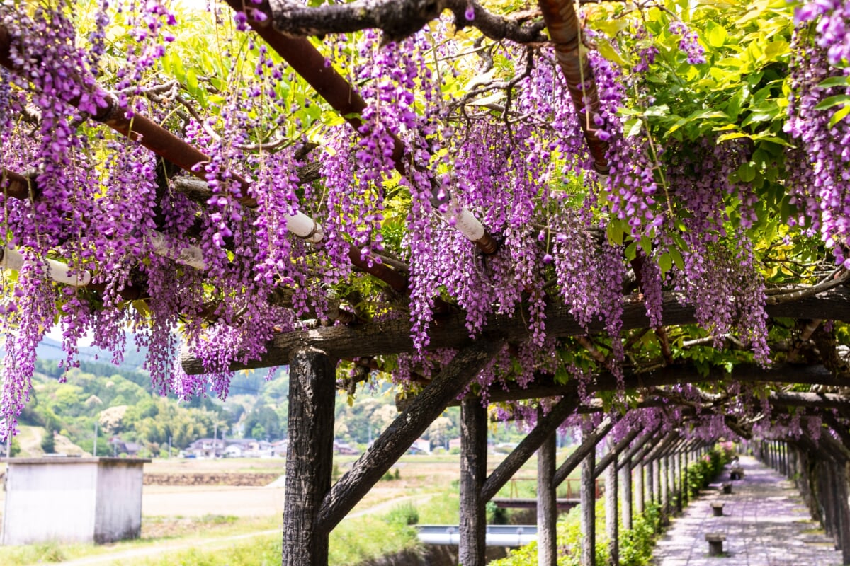 嬉野総合公園(みゆき公園)の写真7