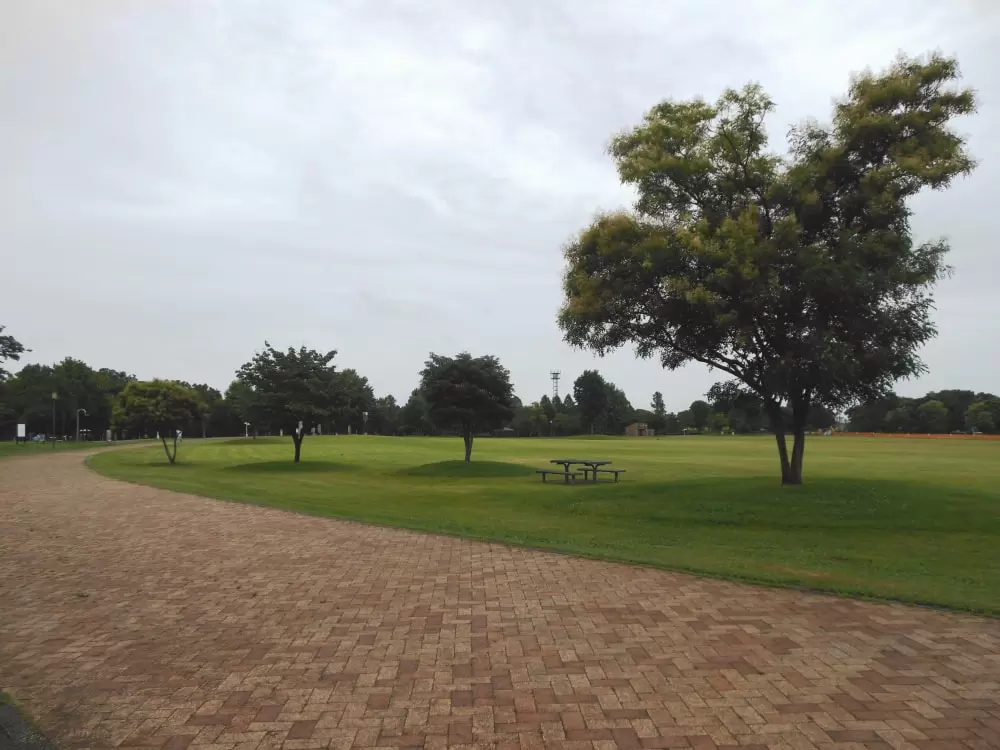 佐賀県立森林公園の写真1