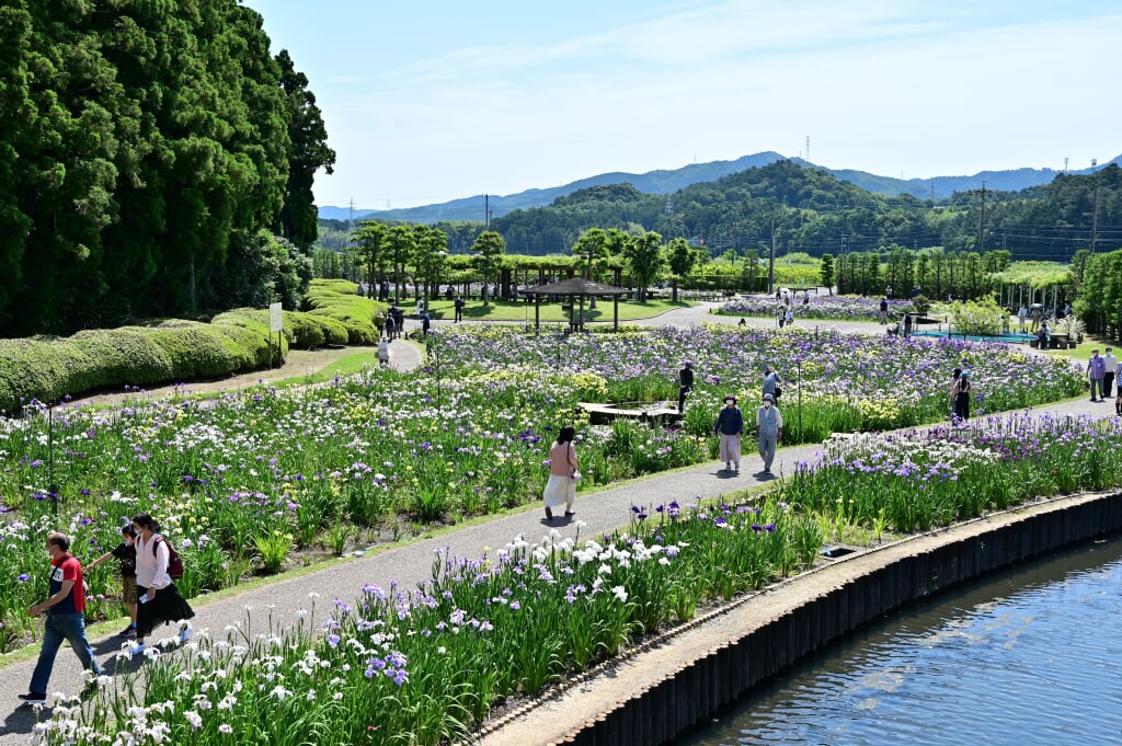 賀茂しょうぶ園の写真2