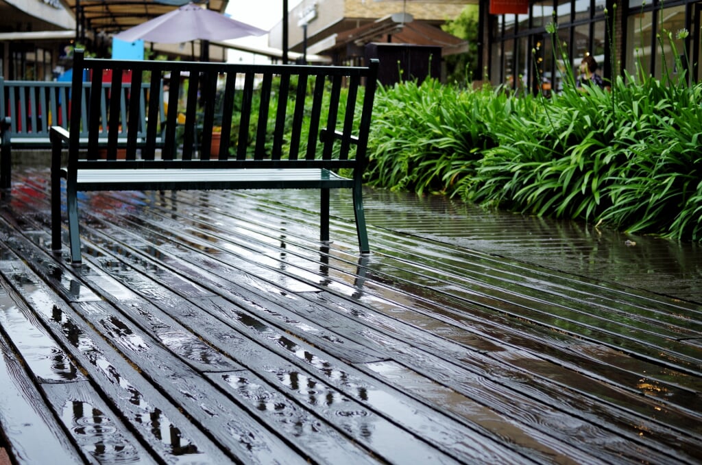 広島マリーナホップの写真2