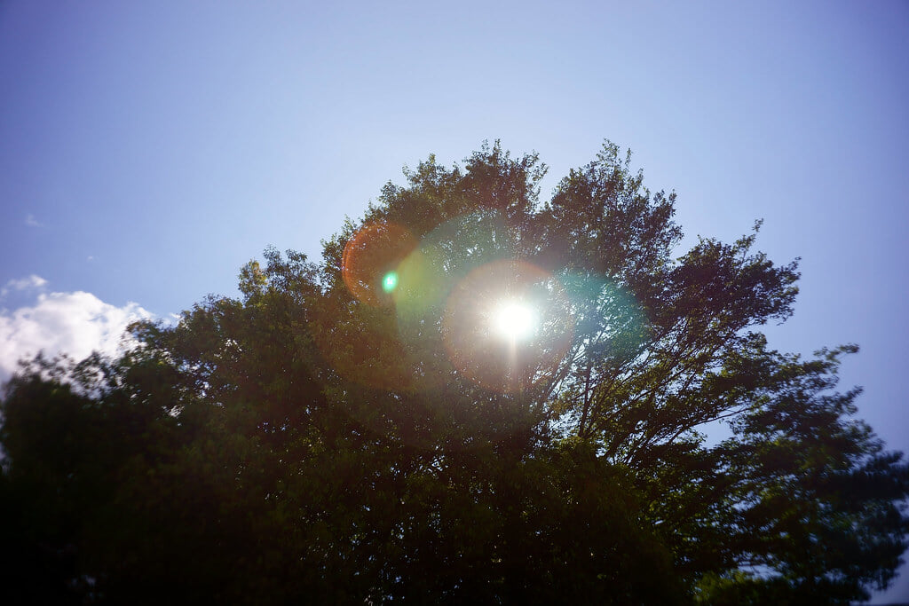 群馬の森の写真4