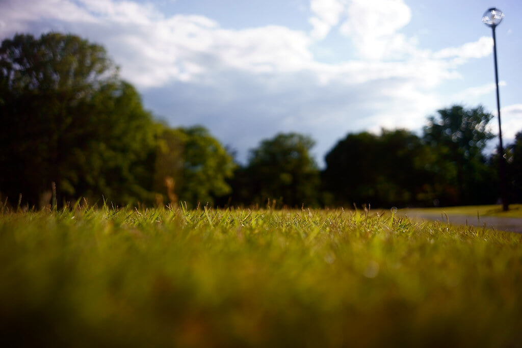 群馬の森の写真7