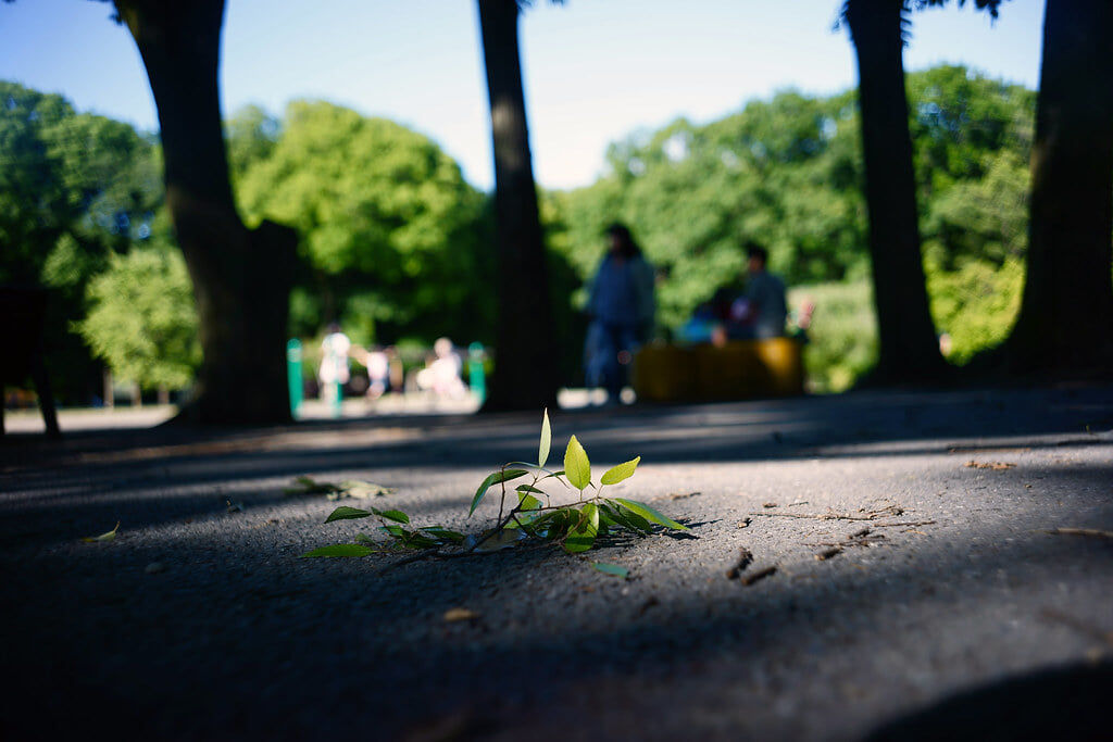 群馬の森の写真9