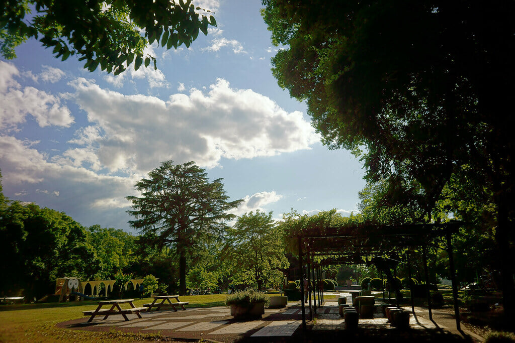 群馬の森の写真11