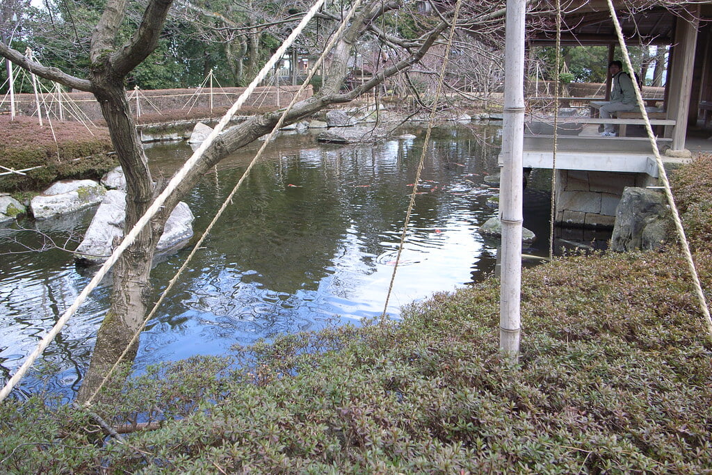 西山公園の写真2