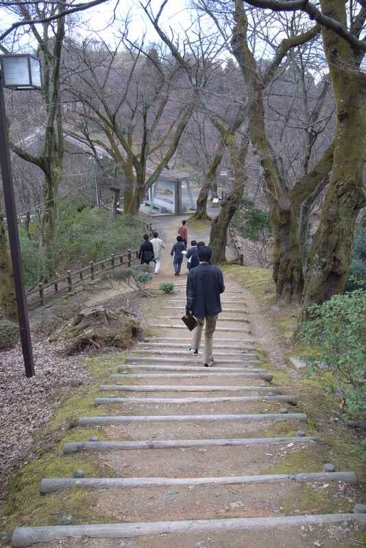 西山公園の写真6