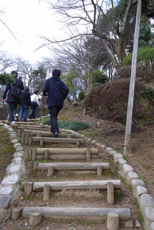西山公園の写真7