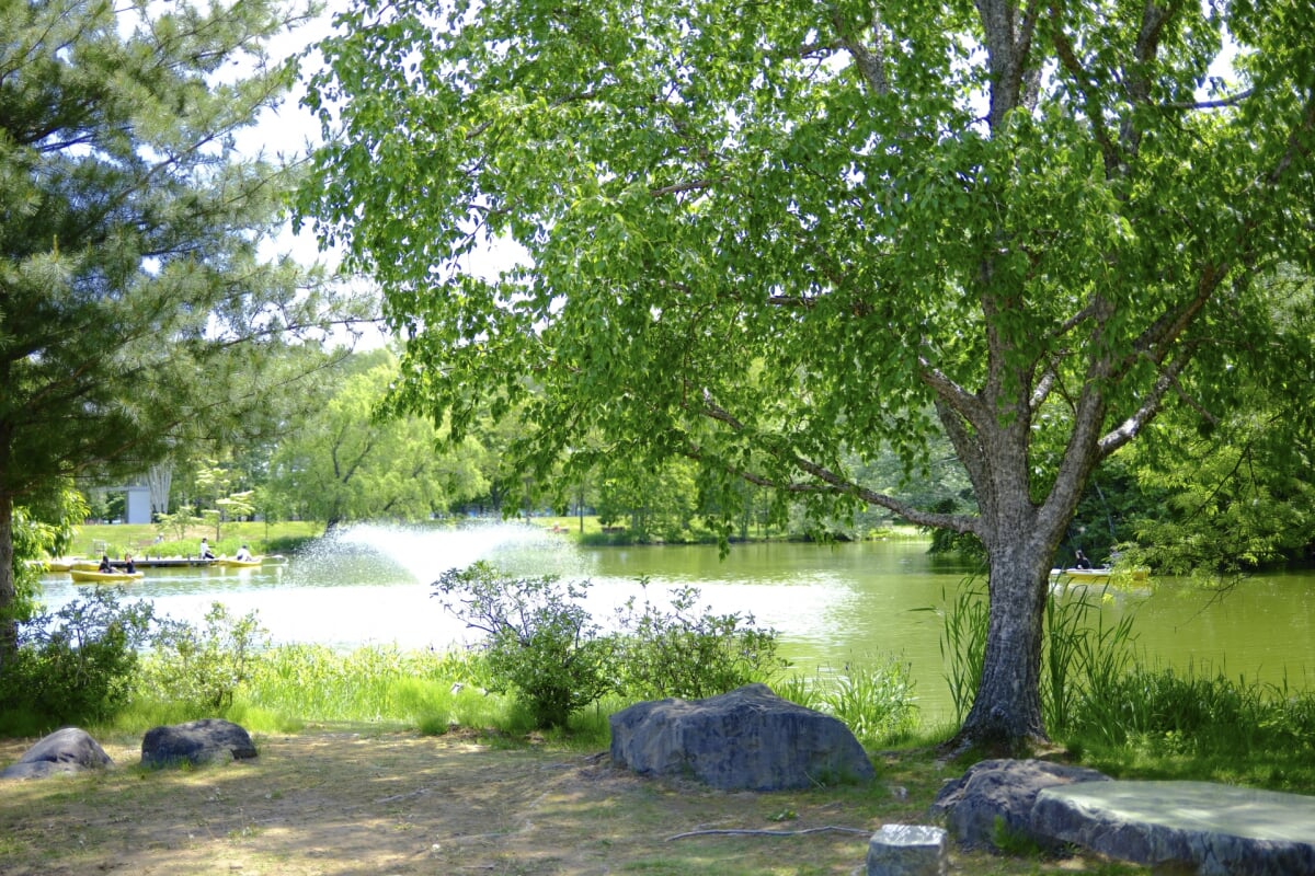 帯広市緑ヶ丘公園・グリーンパークの写真4
