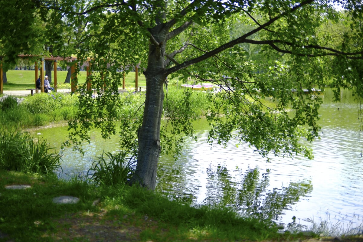 帯広市緑ヶ丘公園・グリーンパークの写真5