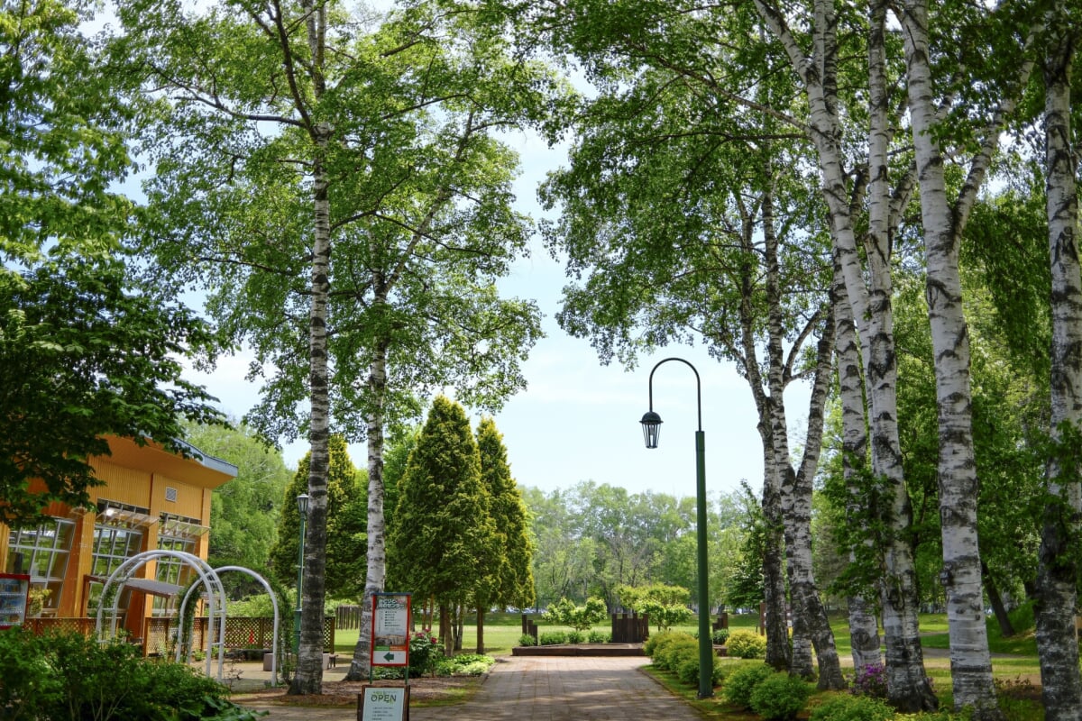 帯広市緑ヶ丘公園・グリーンパークの写真10