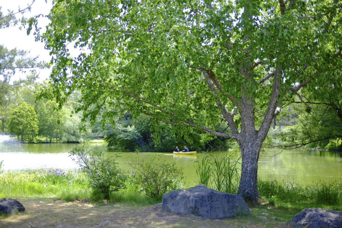 帯広市緑ヶ丘公園・グリーンパークの写真11