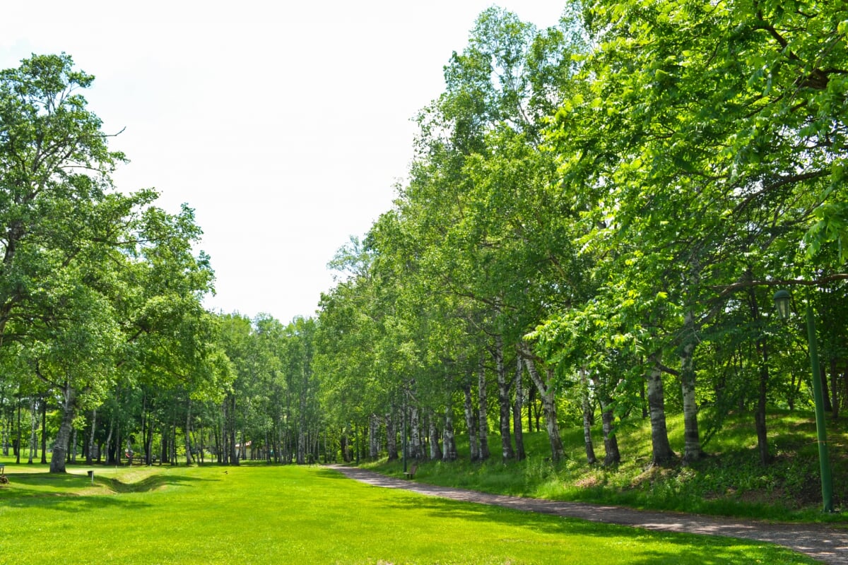 帯広市緑ヶ丘公園・グリーンパークの写真13