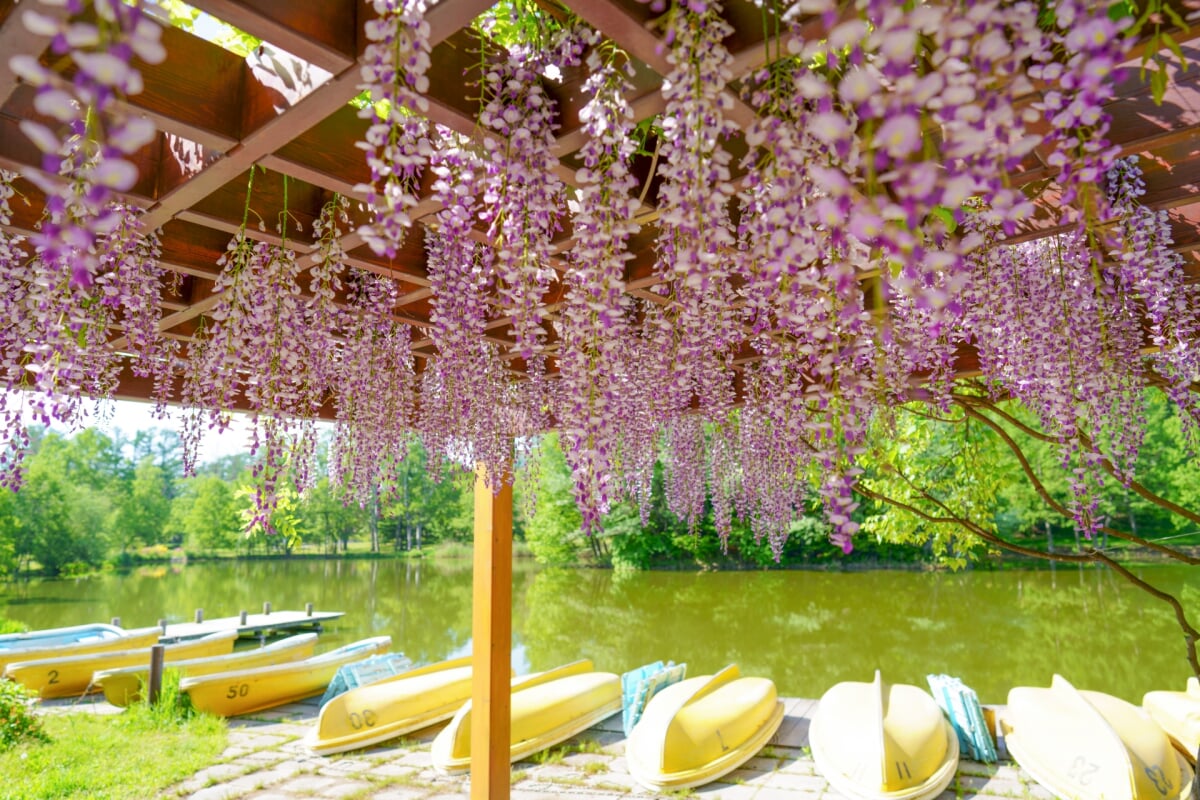 帯広市緑ヶ丘公園・グリーンパークの写真15