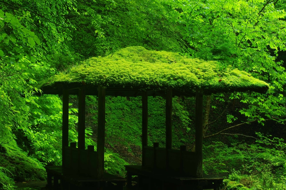 赤目四十八滝の写真2