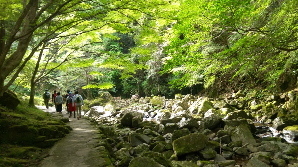 赤目四十八滝の写真6