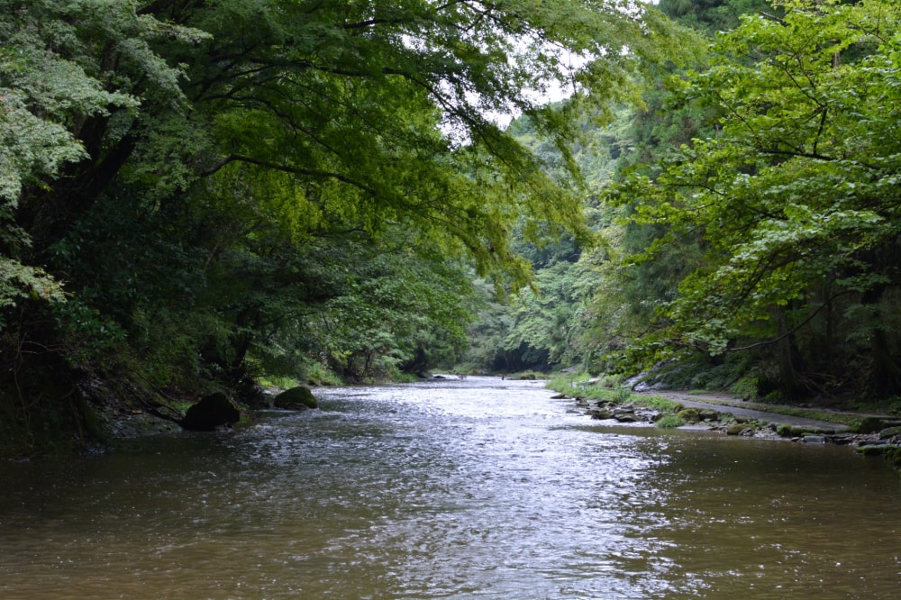 養老渓谷の写真2