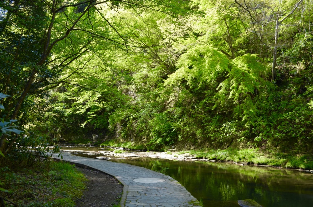 養老渓谷の写真3