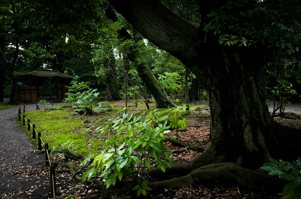 旧古河庭園の写真4