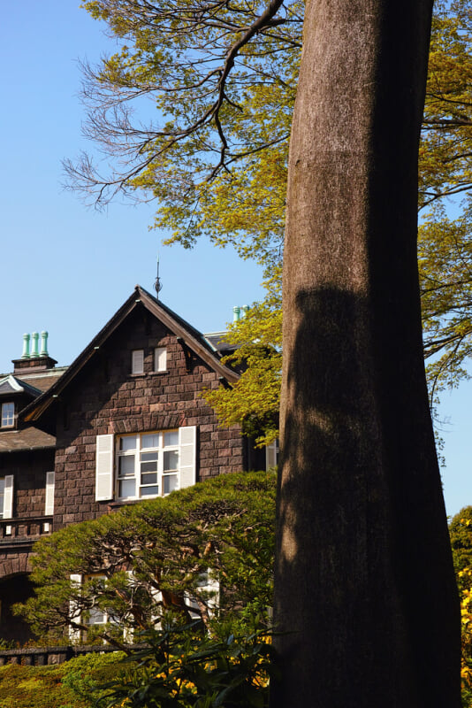 旧古河庭園の写真5