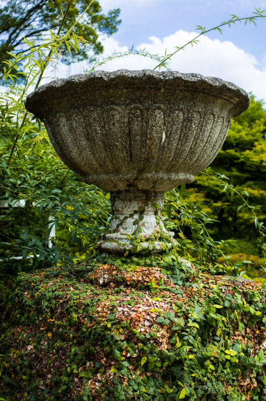 旧古河庭園の写真6