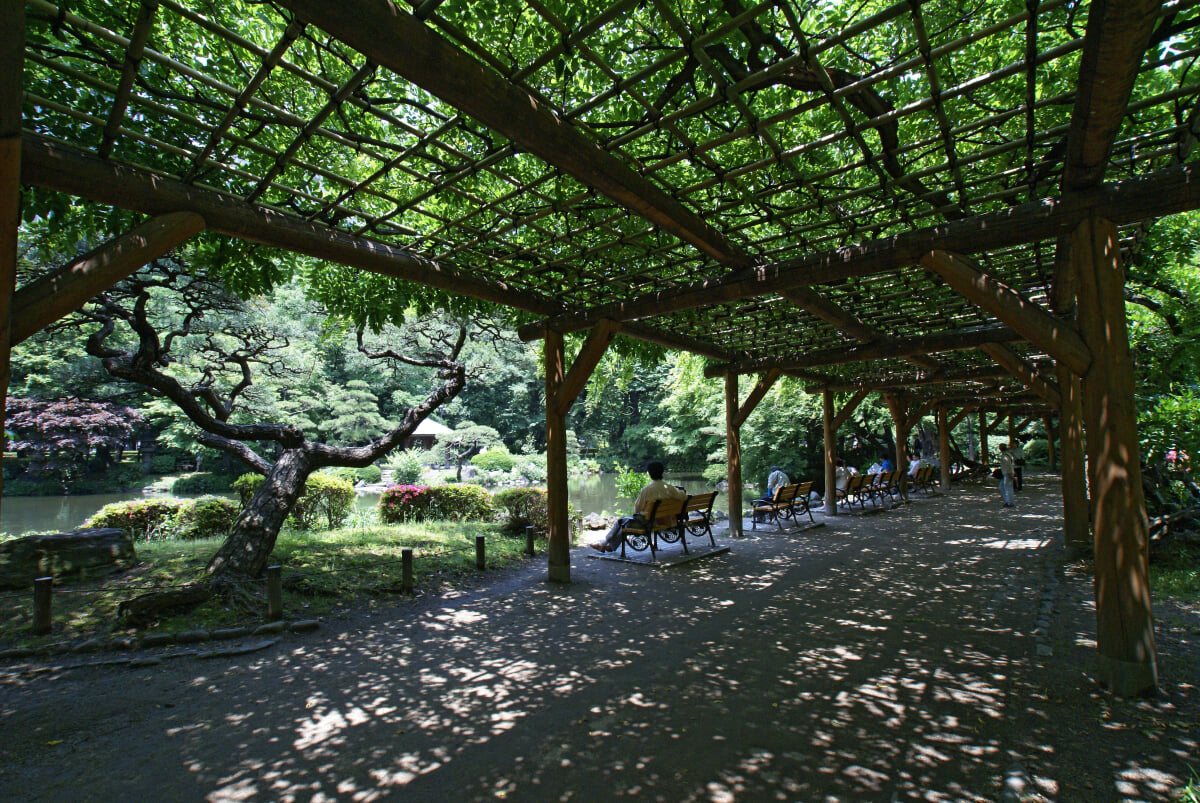 日比谷公園の写真4