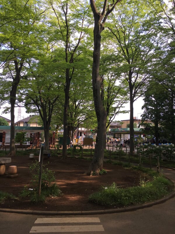 大泉交通公園の写真3