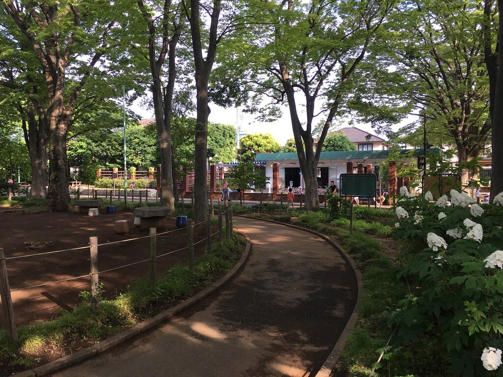 大泉交通公園の写真4