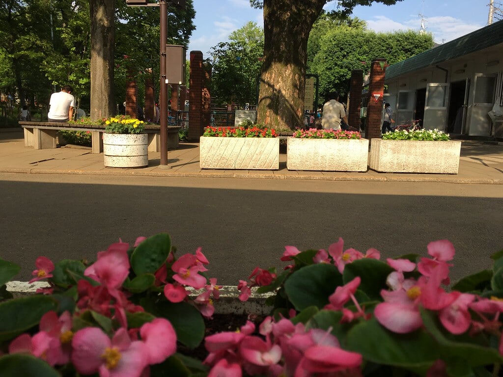 大泉交通公園の写真7