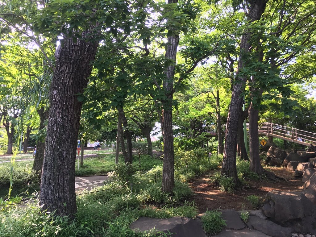 大泉交通公園の写真12