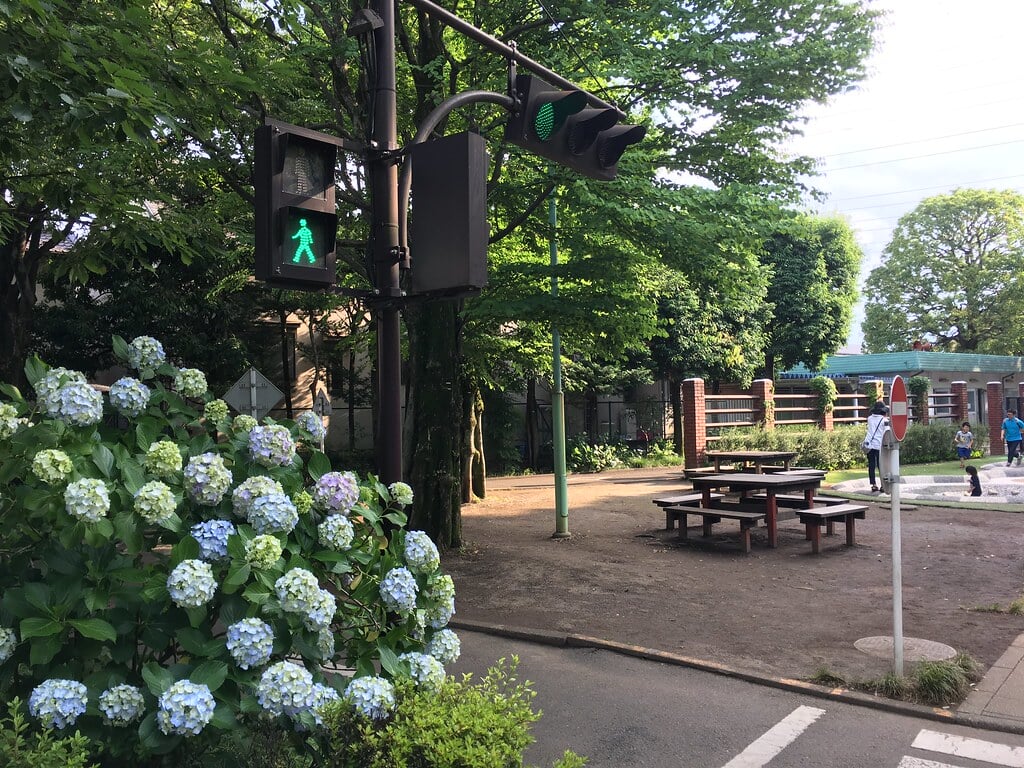 大泉交通公園の写真13