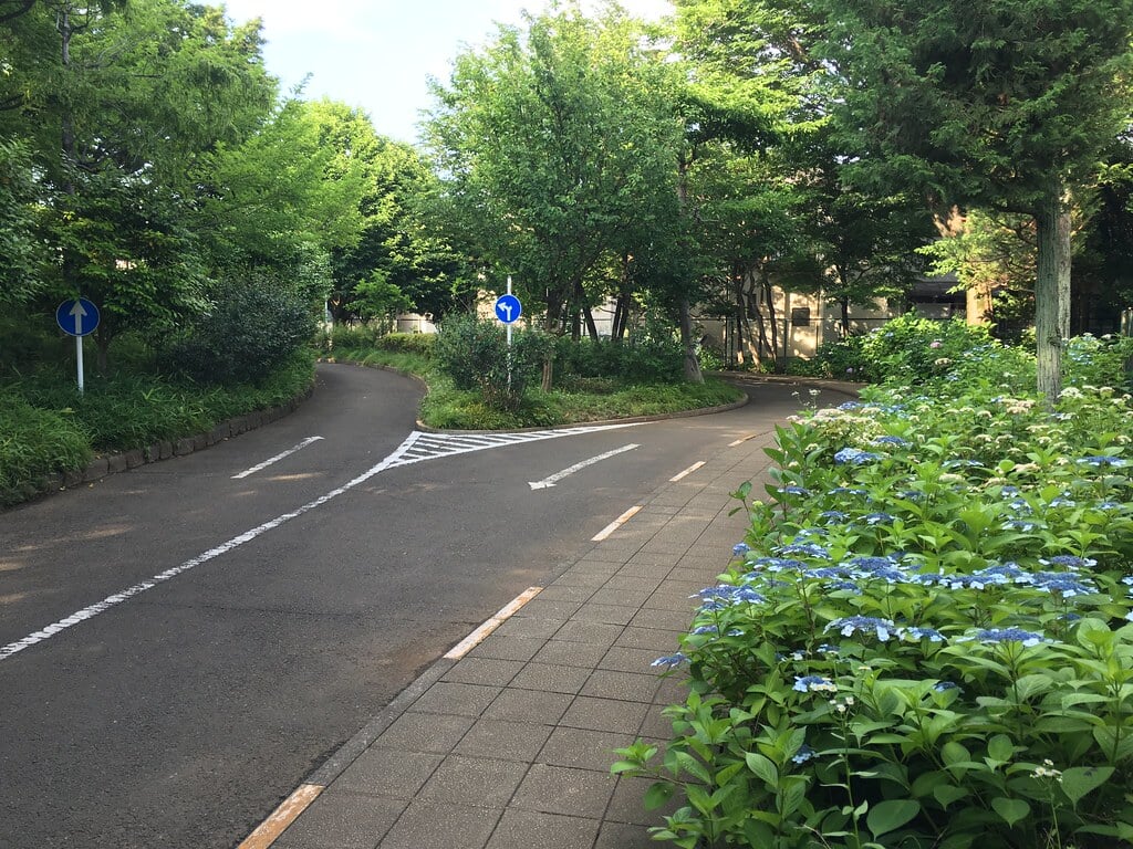 大泉交通公園の写真14