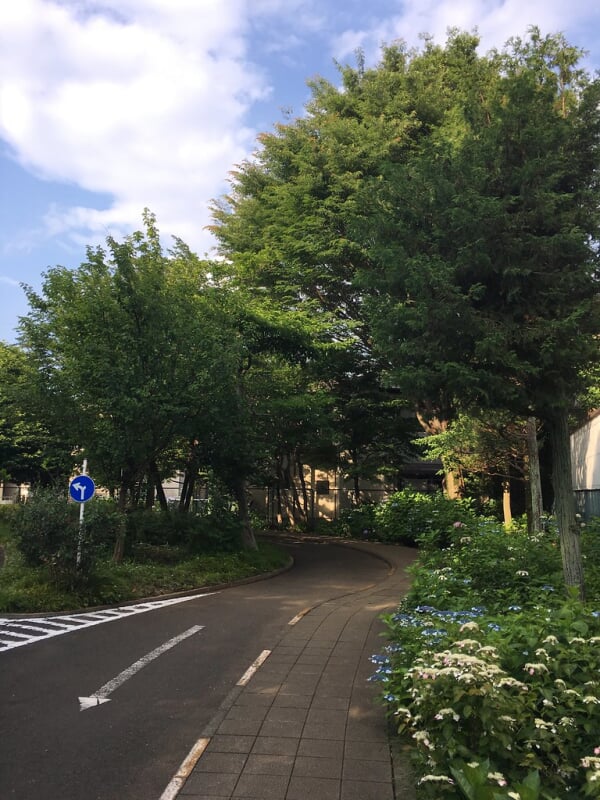 大泉交通公園の写真15