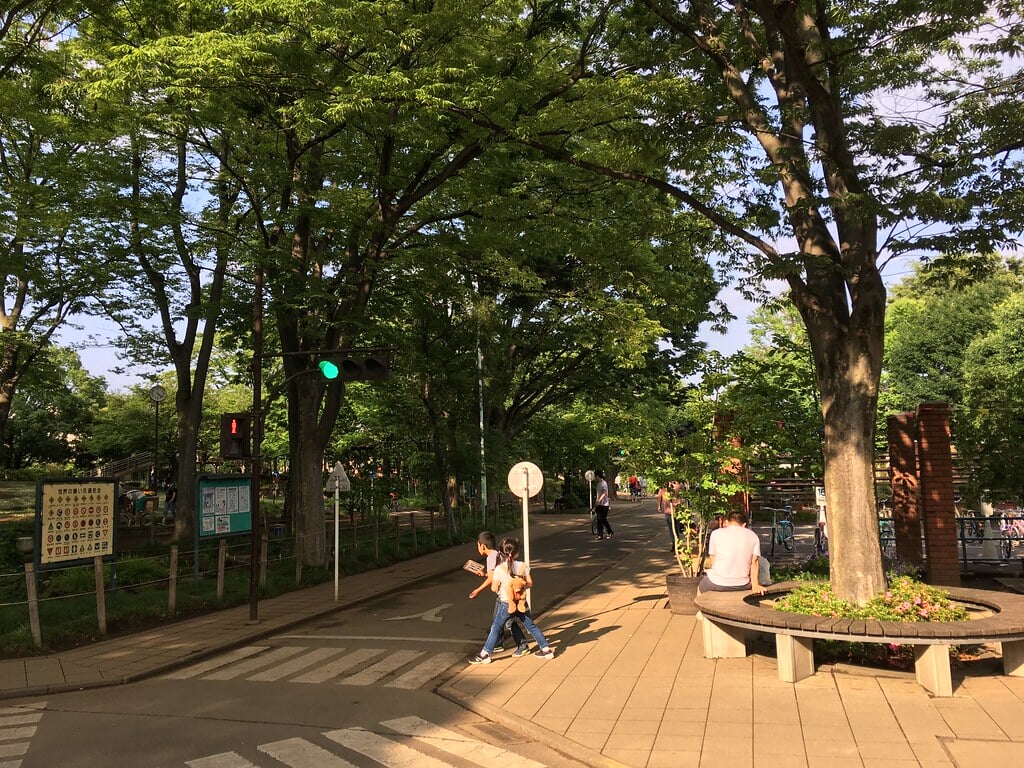 大泉交通公園の写真16