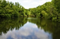 大阪府民の森 むろいけ園地