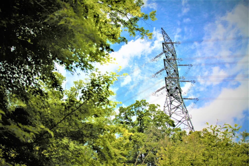 大阪府民の森 むろいけ園地の写真5