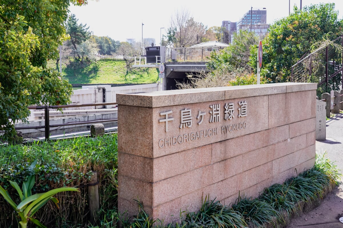 千鳥ケ淵公園の写真6