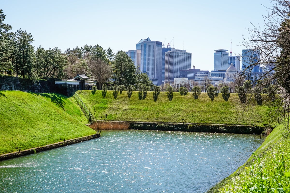 千鳥ケ淵公園の写真8