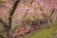 松田山ハーブガーデン