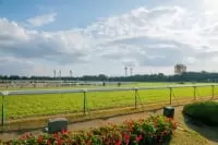 京都競馬場
