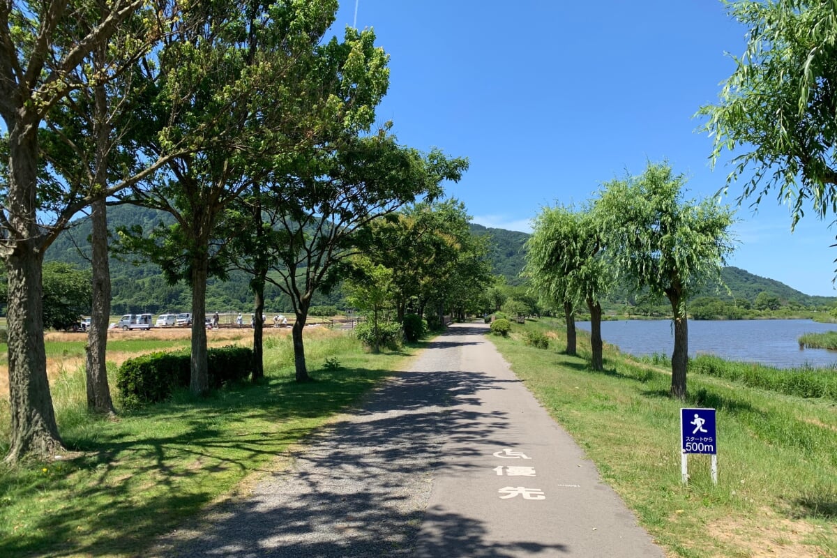 上堰潟公園の写真3