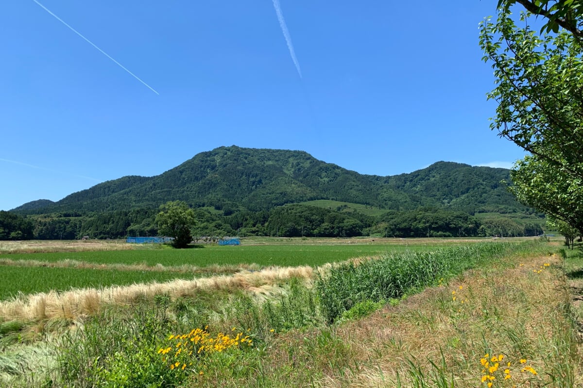 上堰潟公園の写真6