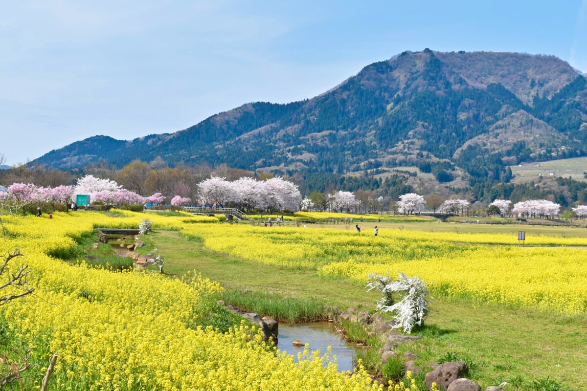 上堰潟公園の写真7